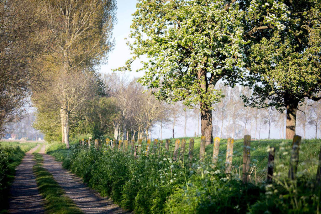 Palingrestaurant de Roste Muis, Peter Haegeman, Ilse Accoe, Kiara Haegeman, brasserie, taverne, eetkroeg, roste muis legende, volkscafé, sint-jan-in-eremo, Bentille, Sint-Laureins, Waterland-Oudeman, Watervliet, Van Den Vos Reynaert, vakantiewoning de Heilige Rita, vakantiehuis de Heilige Rita, doolhof de Roste Muis, doolhof de Roste Mais, Chris Ferket, Oudemanskreek, Meetjesland, Elmare, Piorij Elmare, Goedleven, Ijzendijke, Waterland-kerkje, https://deheilgerita.be, Rovershoek, Oostpolderkreek, Bentillekreek, Boerenkreek, foto’s Beeldconnectie - info@beeldconnectie.com, Désiré Naessens, photography, reportages, websites, corporate films, www.beeldconnectie.com, https://beeldconnectie.com, https://rostemuis.be